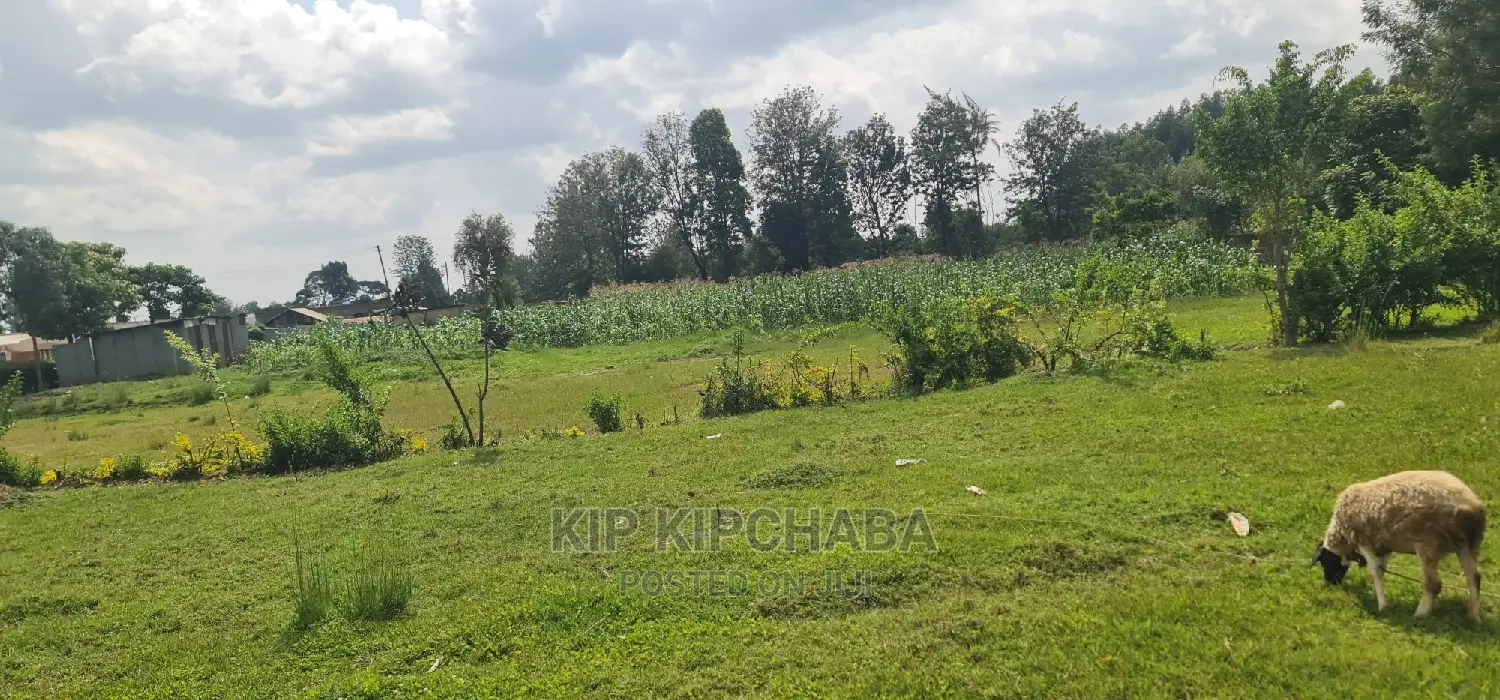 Highway Front Land Plots in Langas Poly, Eldoret - Buy Now for Investment Opportunities in Pioneer Estate