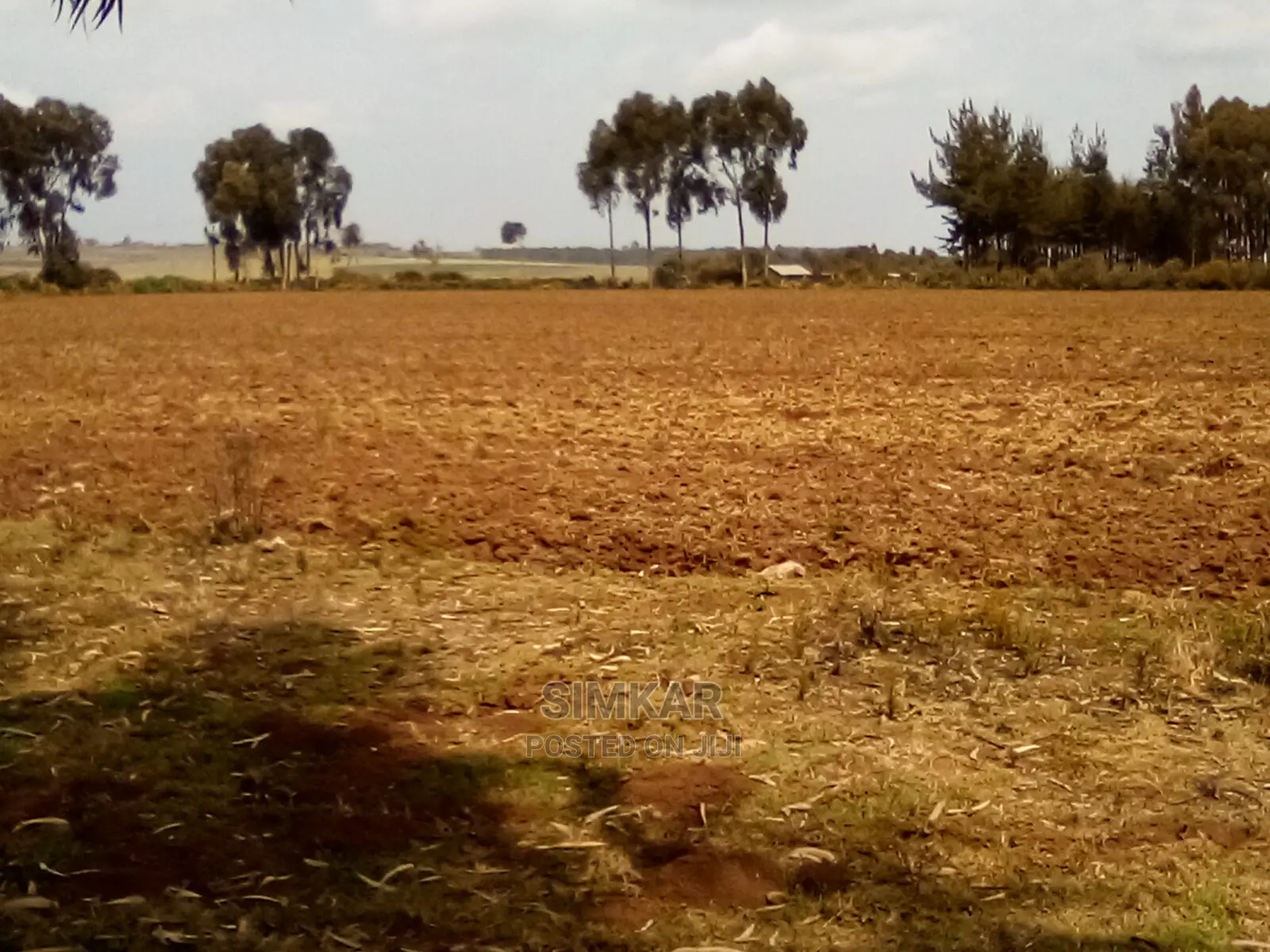 41 Acres in Timau: Ideal Investment Opportunity in Timau