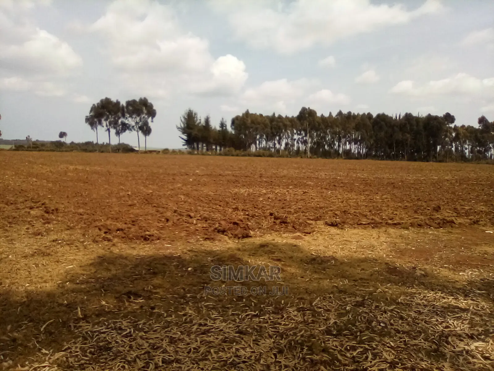 41 Acres in Timau: Ideal Investment Opportunity in Timau