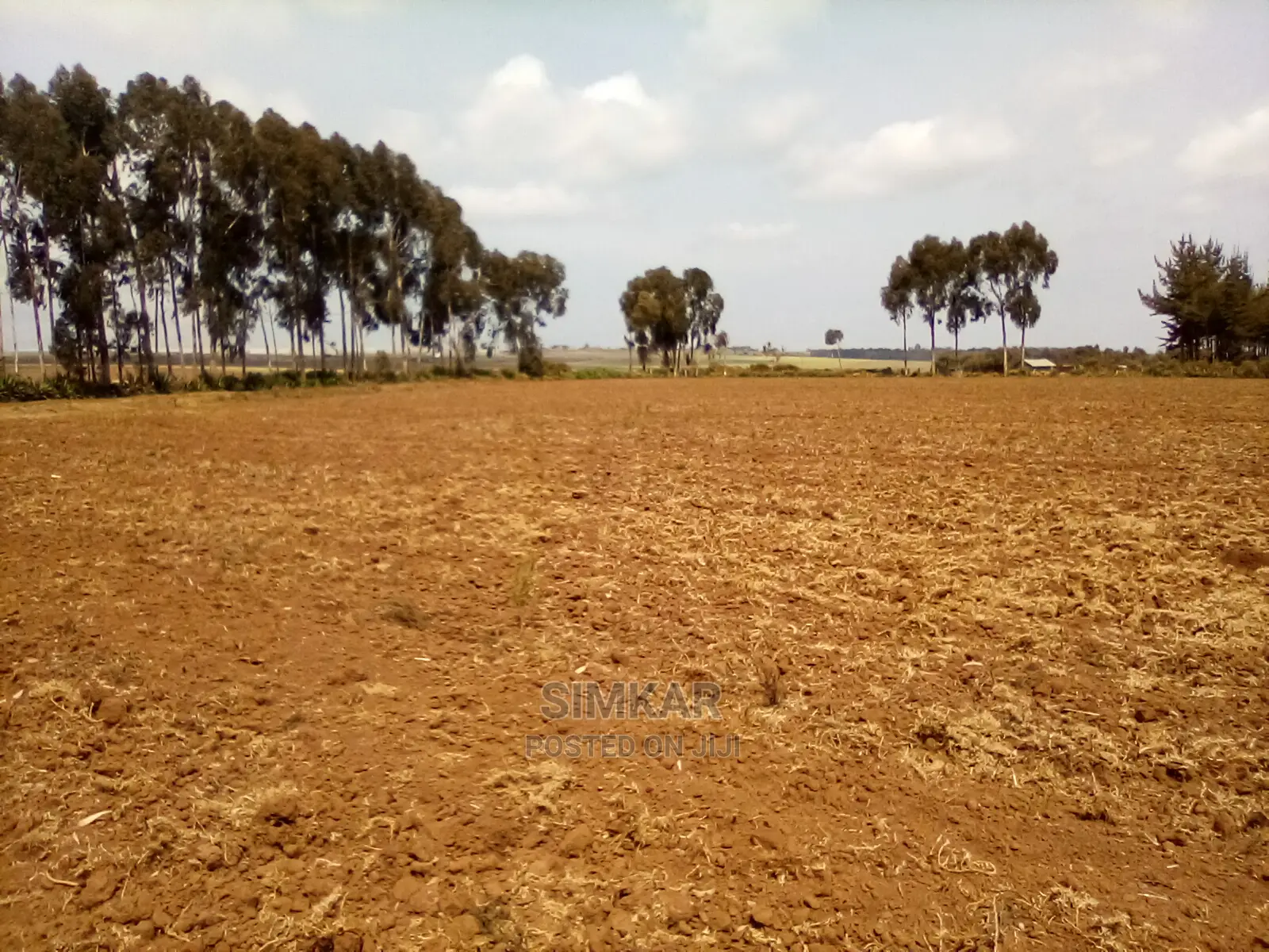 41 Acres in Timau: Ideal Investment Opportunity in Timau
