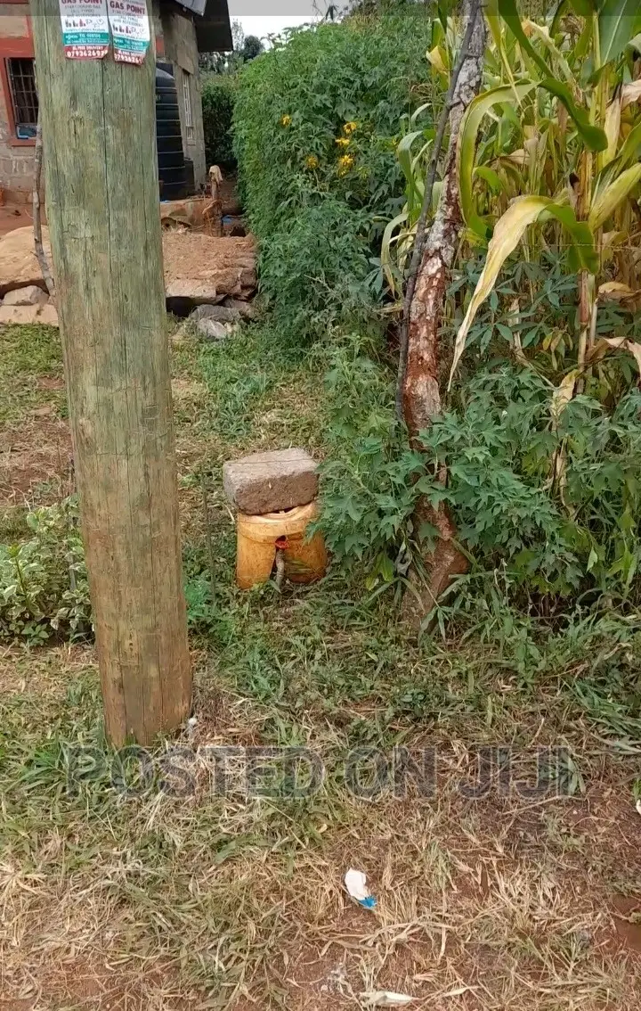 Kenyatta Road Plots- Kimunyu ^JO in Gatundu North