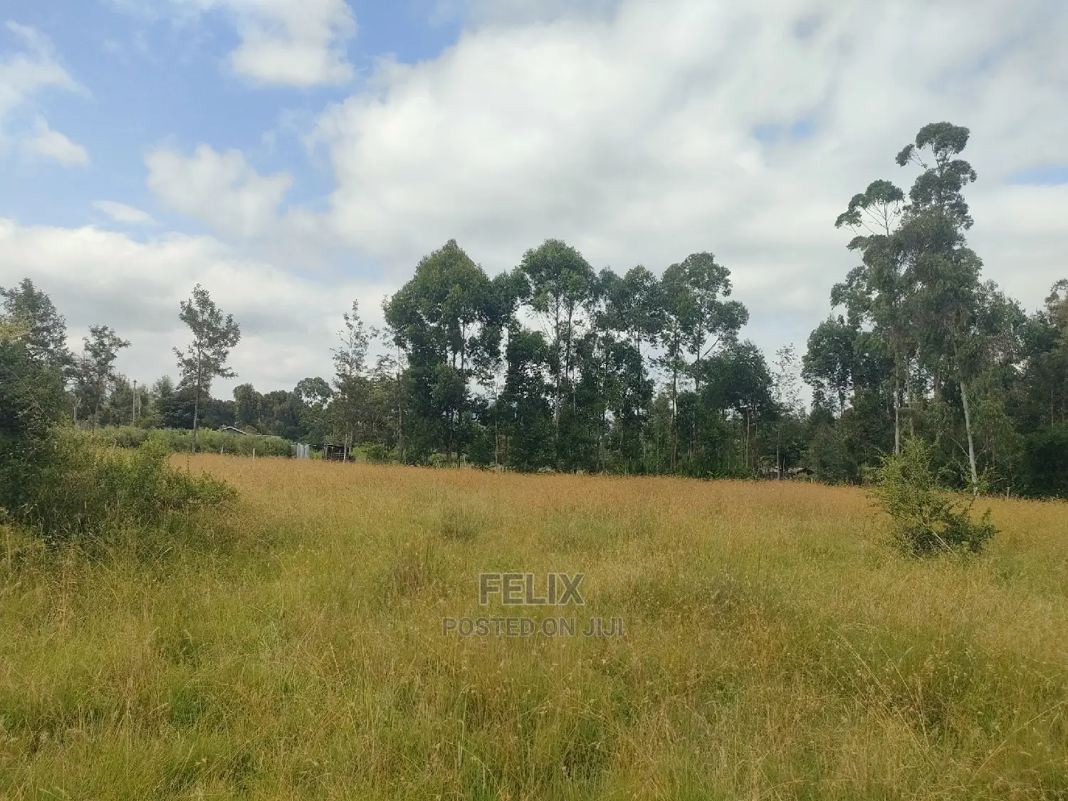 Karatina Hiriga 1acre. in Karatina Town