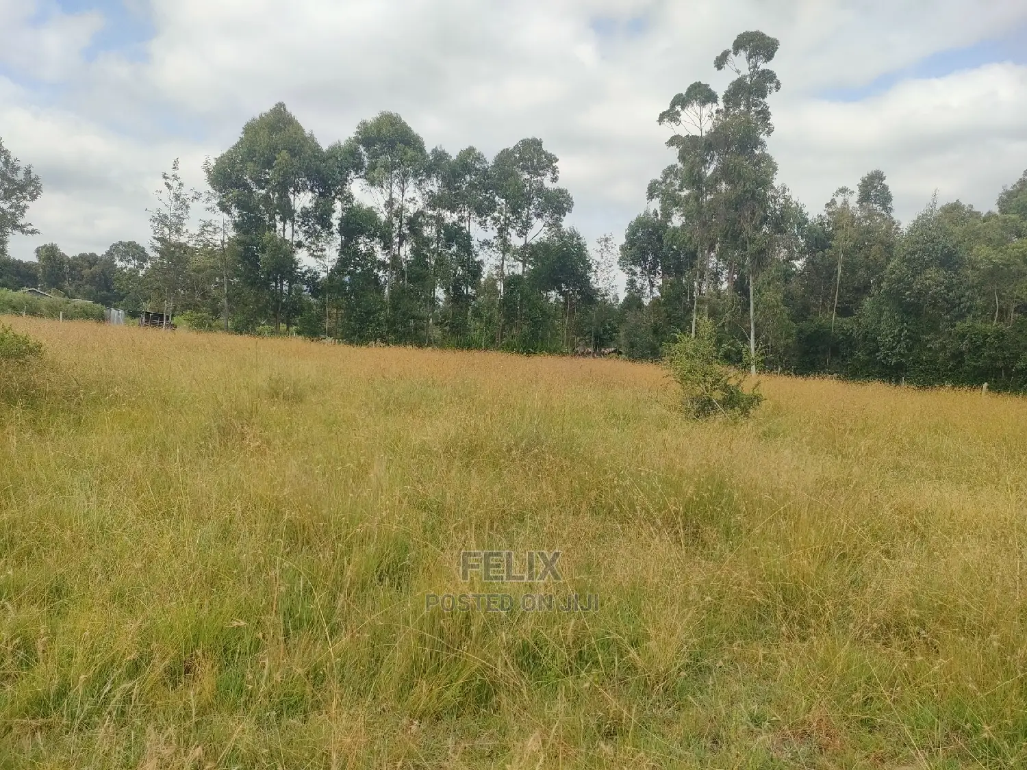 Karatina Hiriga 1acre. in Karatina Town