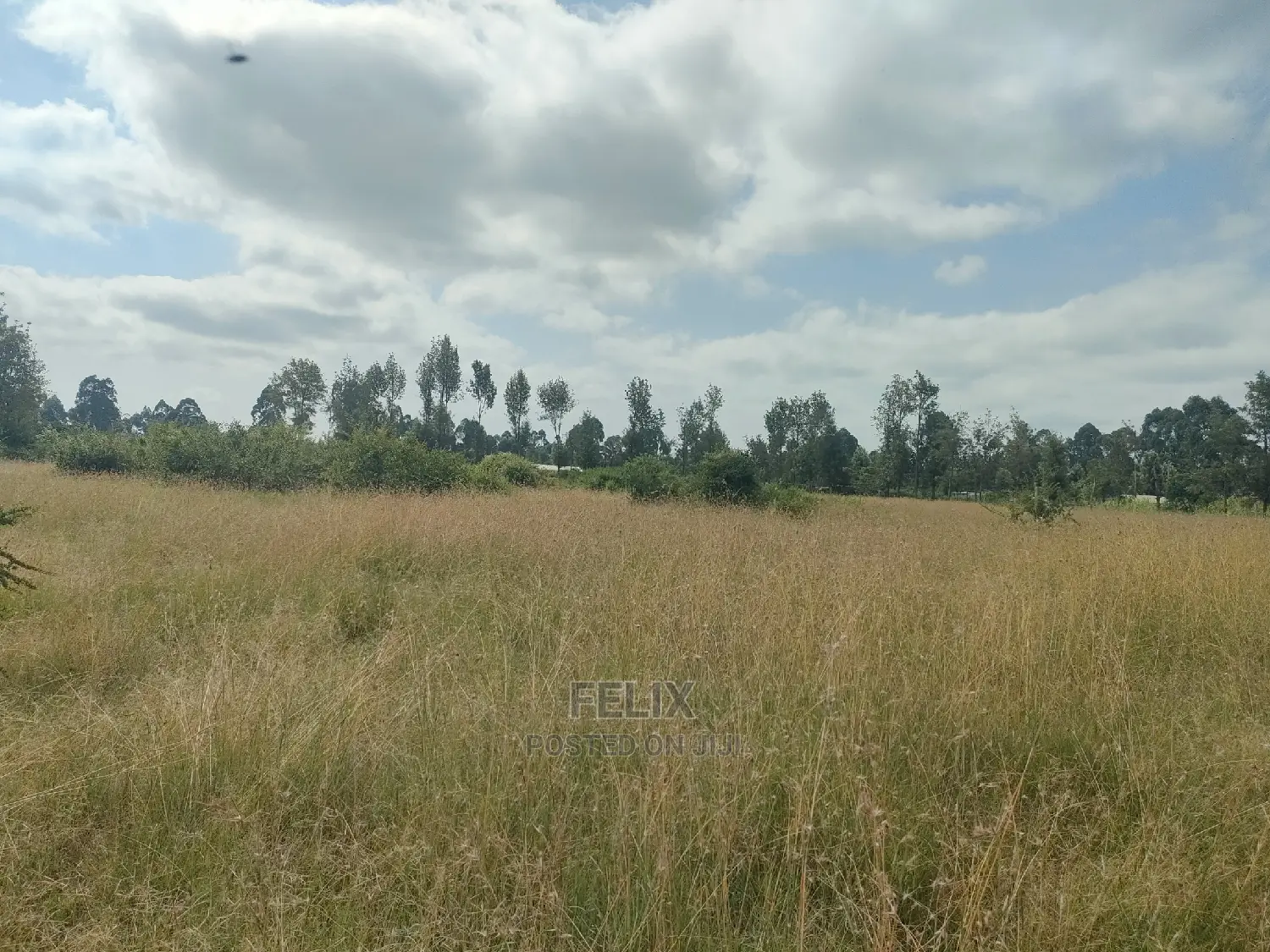 Karatina Hiriga 1acre. in Karatina Town
