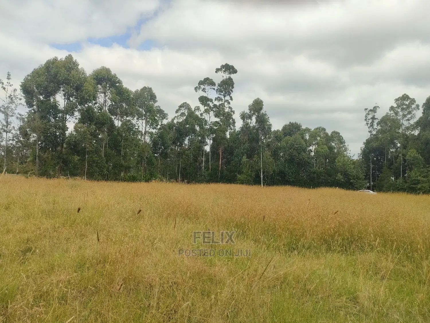 Karatina Hiriga 1acre. in Karatina Town