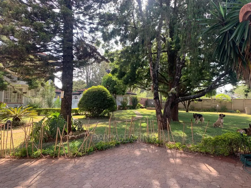 Nyari Mansion with 5 Bedrooms Available for Purchase in Nyari