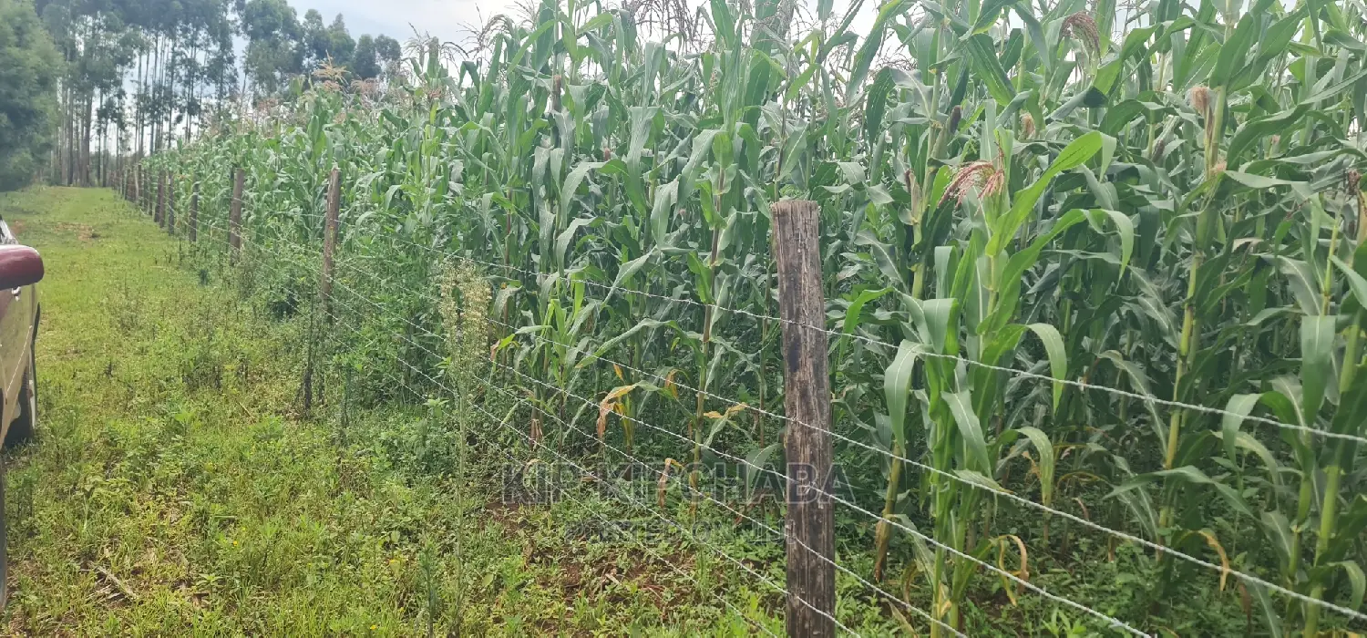 Prime Land Plots for Sale Near Proposed MTRH Kiplombe, Eldoret in Eldoret CBD