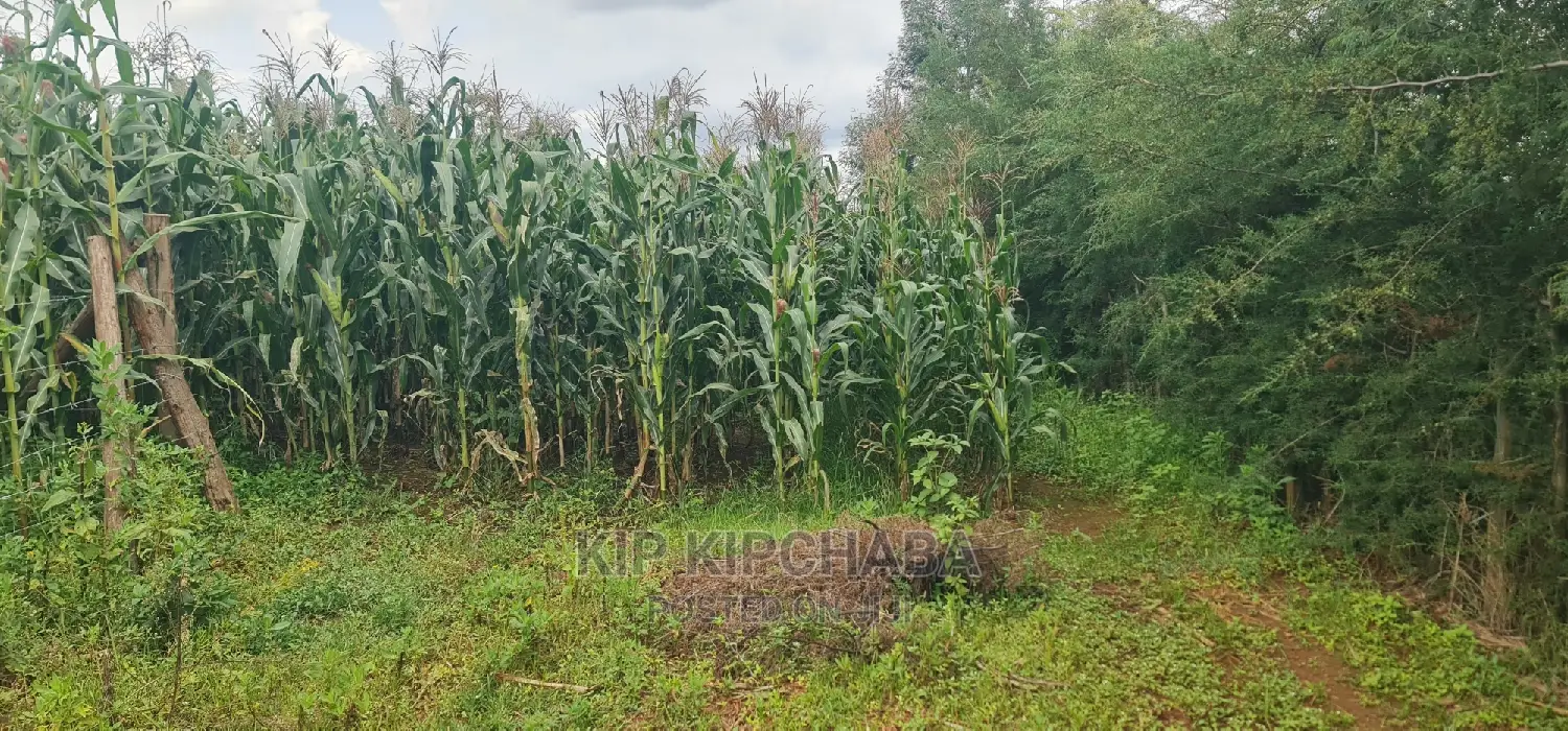 Prime Land Plots for Sale Near Proposed MTRH Kiplombe, Eldoret in Eldoret CBD