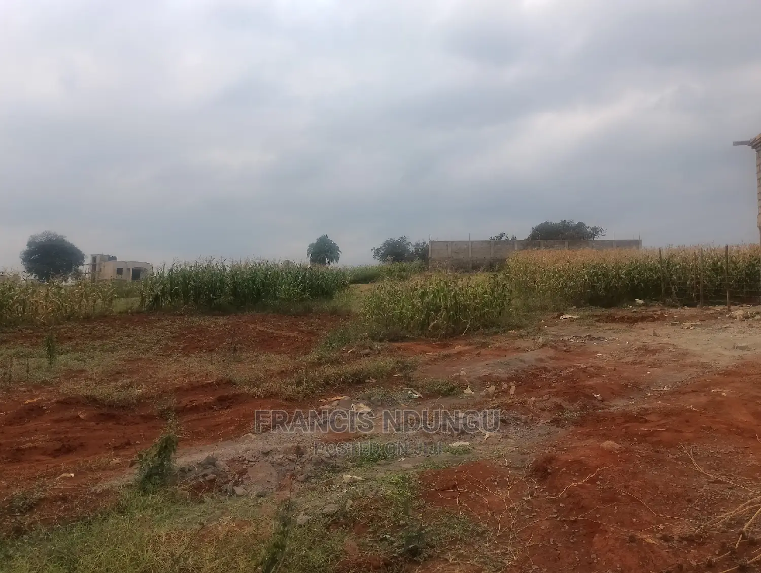 Affordable Kiambu Plots: Kiora Estate Tinganga - Quality Residential Land in Kiambu / Kiambu