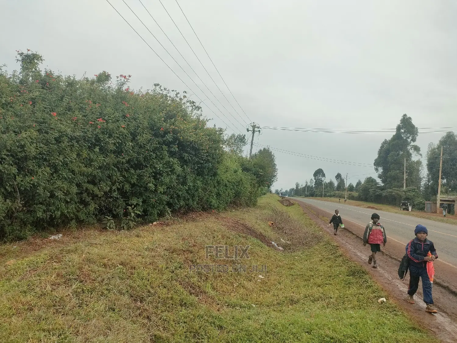 Nyeri/Gatitu 50/100 Touching Main Tarmac in Nyeri Town