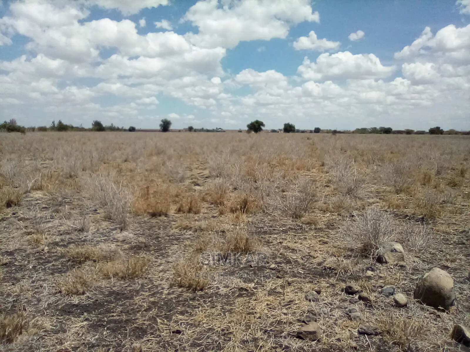 Prime 10-Acre Land for Sale on Kiserian-Isinya Road in Mbirikani