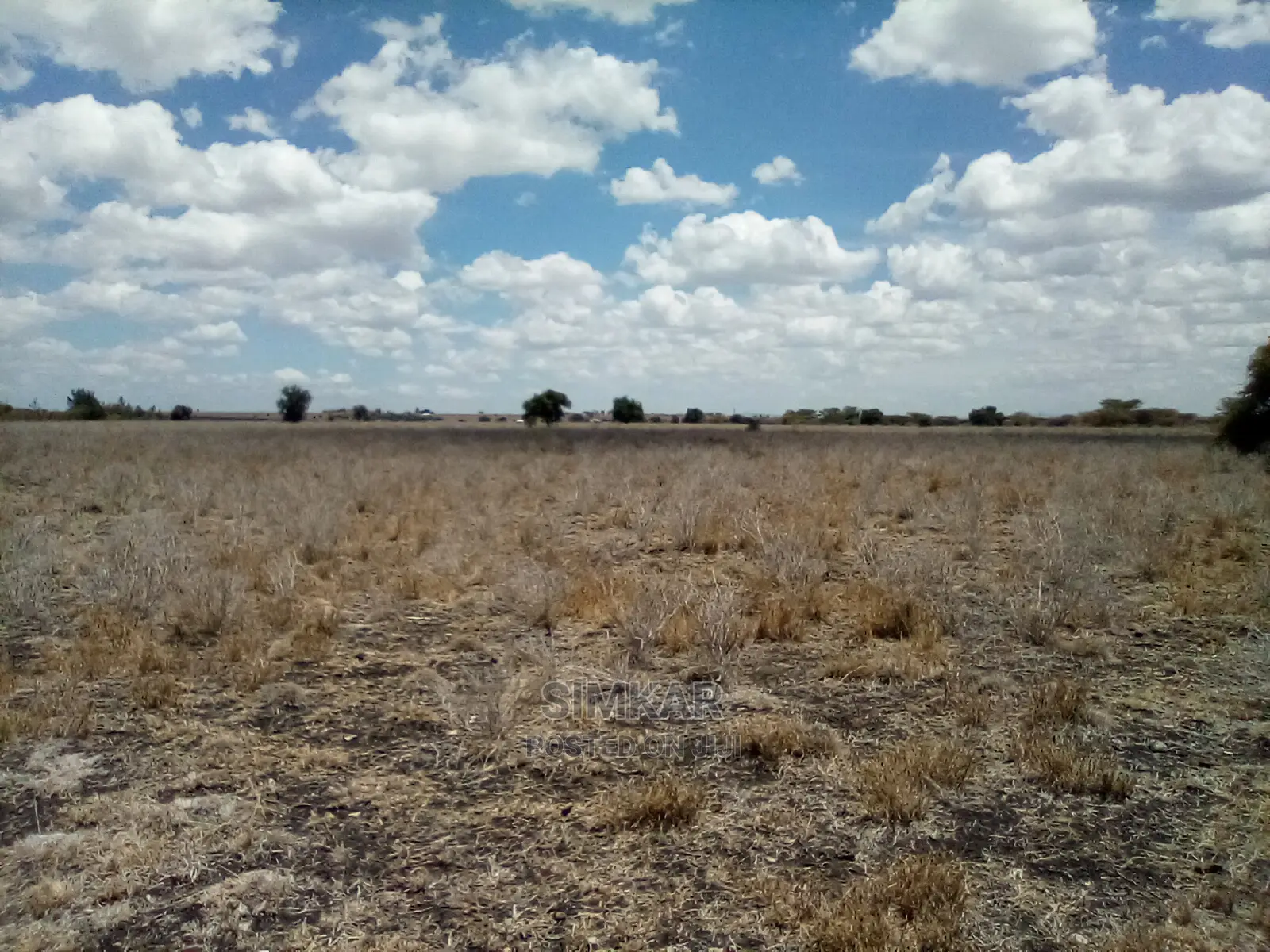Prime 10-Acre Land for Sale on Kiserian-Isinya Road in Mbirikani