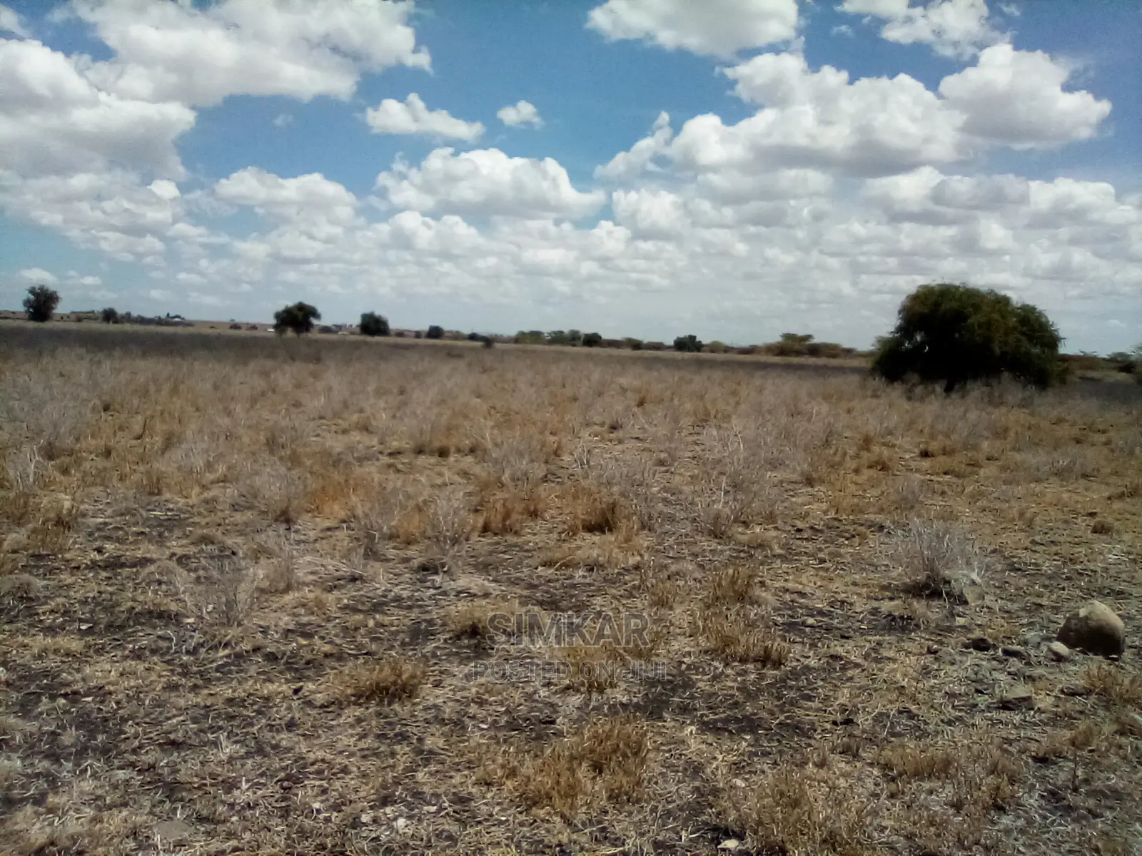 Prime 10-Acre Land for Sale on Kiserian-Isinya Road in Mbirikani