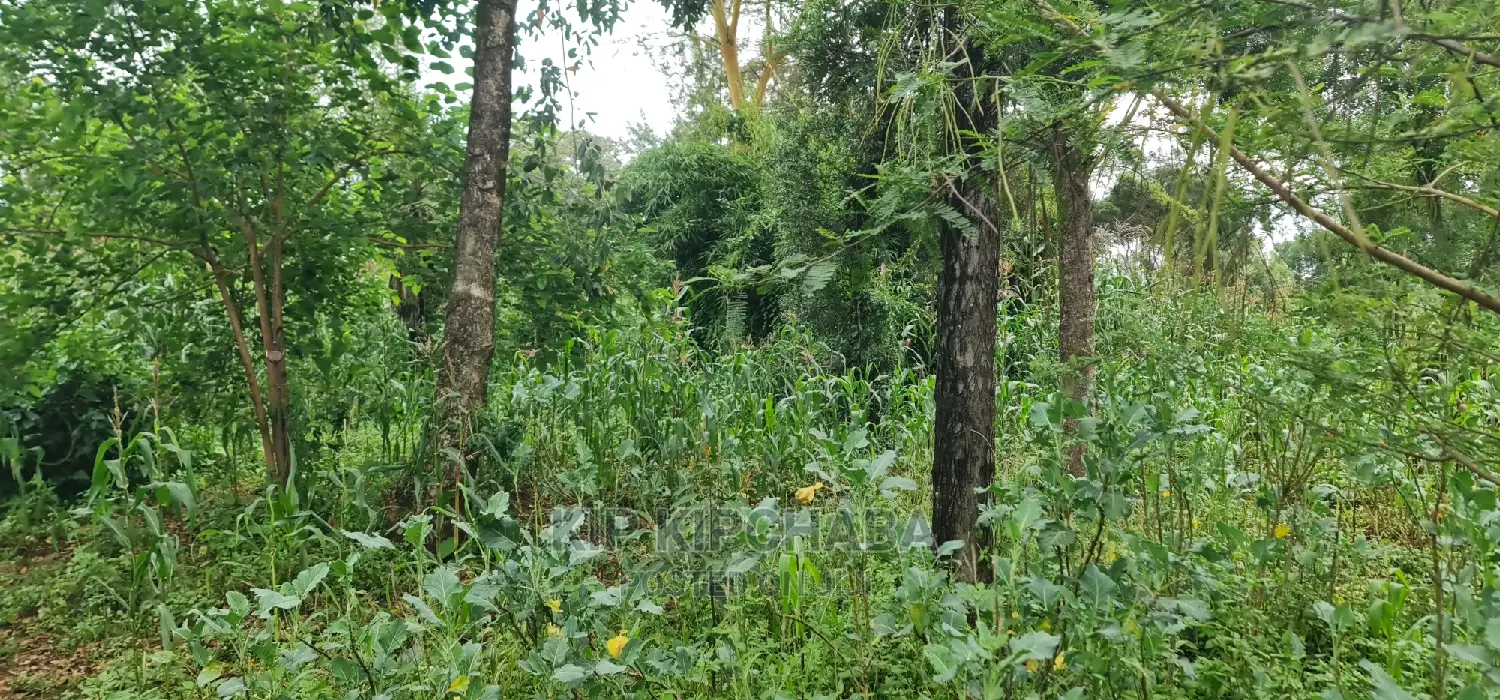 1-Acre Land in Elgonview Eldoret: Ready to Divide into 1/2 and 1/4 Plots for Sale in Elgon View