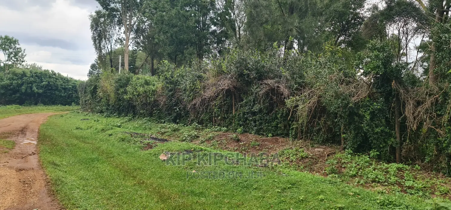 1-Acre Land in Elgonview Eldoret: Ready to Divide into 1/2 and 1/4 Plots for Sale in Elgon View