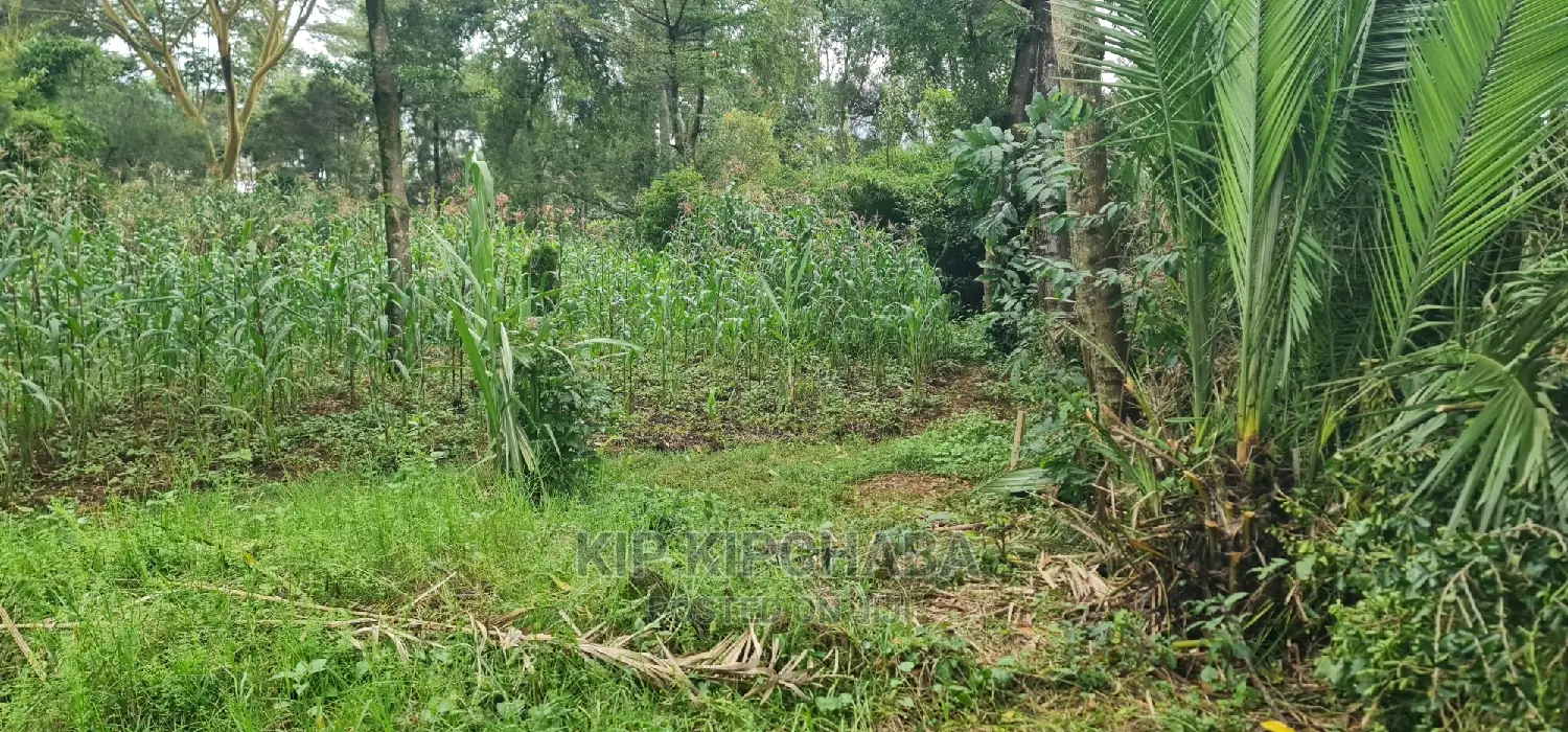 1-Acre Land in Elgonview Eldoret: Ready to Divide into 1/2 and 1/4 Plots for Sale in Elgon View