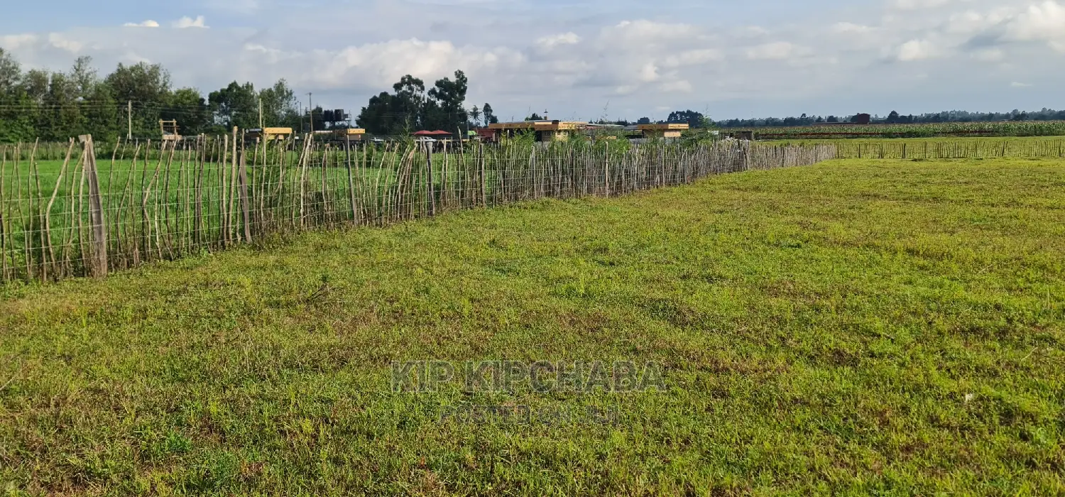 Prime 1/4 Plots in Kimumu Marura, Eldoret - Perfect Investment Opportunity in Kimumu