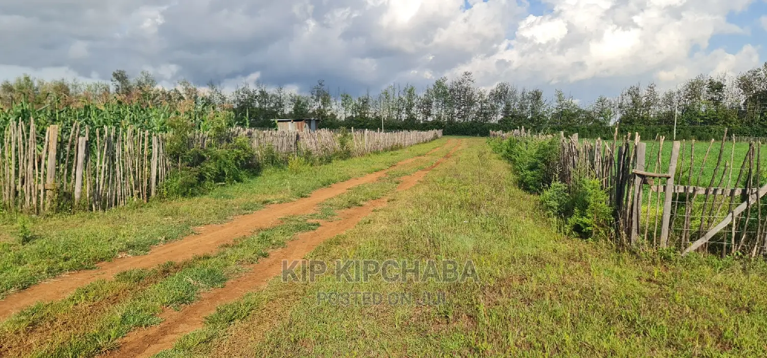 Prime 1/4 Plots in Kimumu Marura, Eldoret - Perfect Investment Opportunity in Kimumu