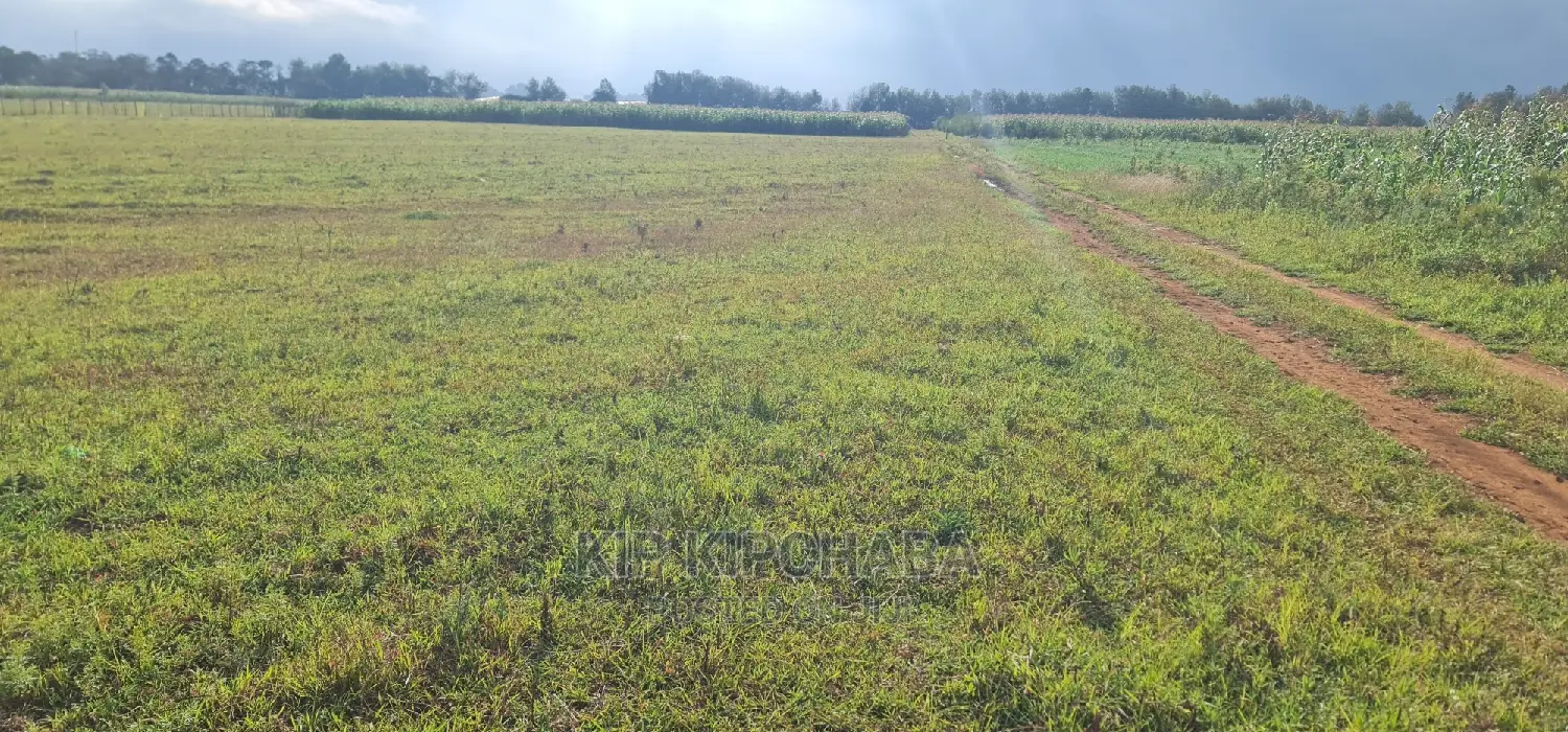Prime 1/4 Plots in Kimumu Marura, Eldoret - Perfect Investment Opportunity in Kimumu