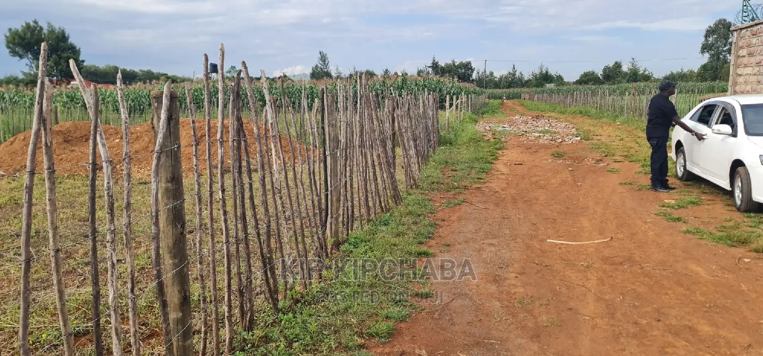 Prime 1/4 Plots in Kimumu Marura, Eldoret - Perfect Investment Opportunity in Kimumu