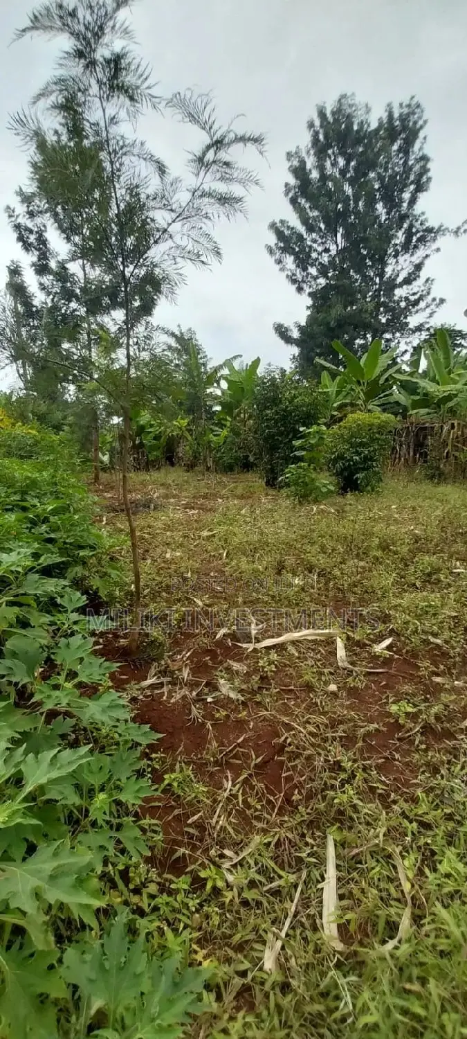 2 Acre Land Available: Start Building Your Dream Today! in Kigumo