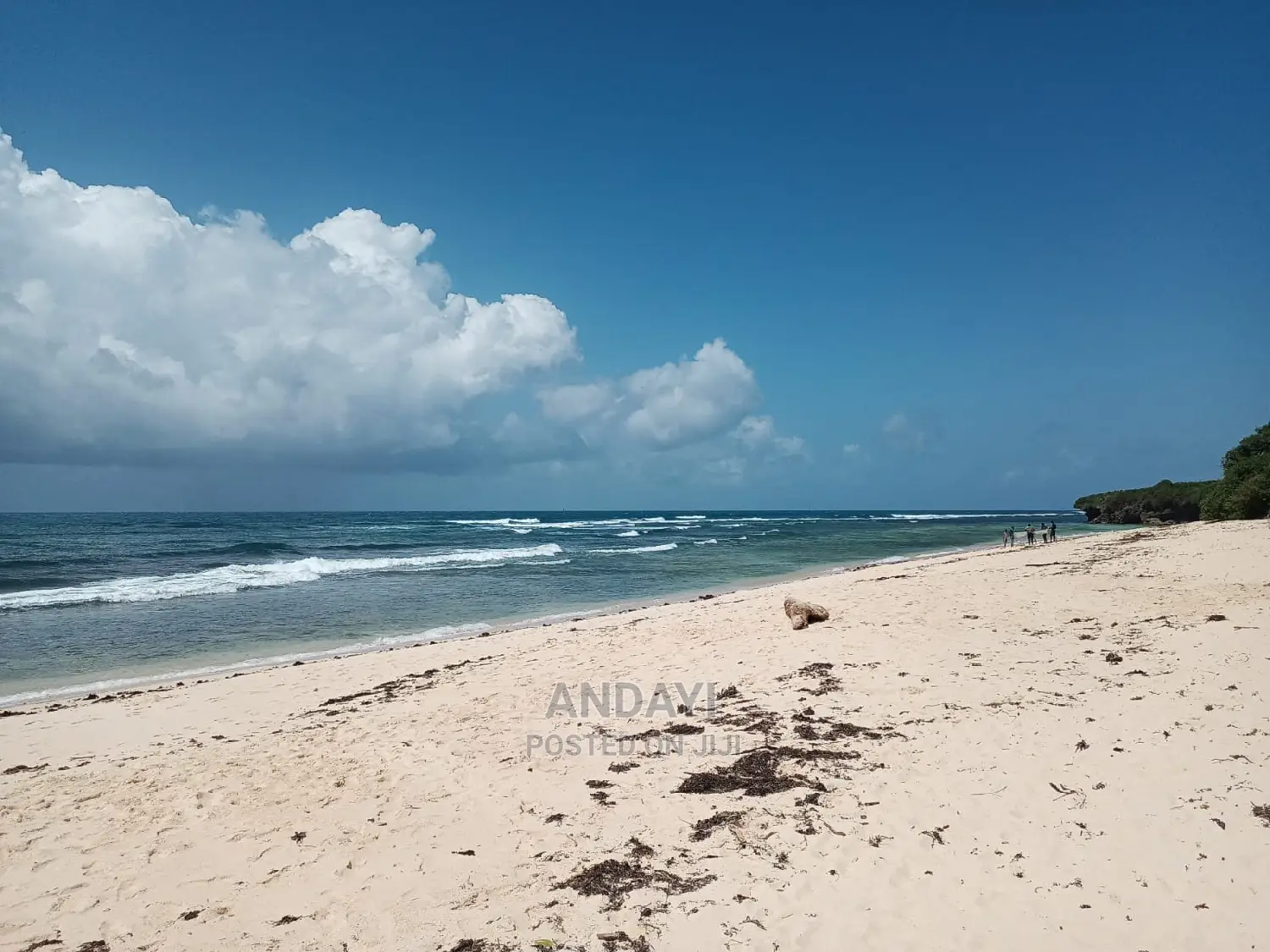 Takaungu (1/4 Acre) Beach Plots in Vipingo