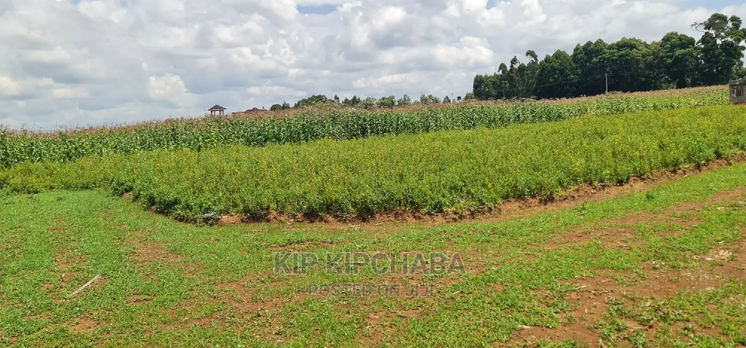 Land Plots for Sale in Kiplombe, Close to MTRH Proposal, Eldoret - Limited Availability in Kamukunji