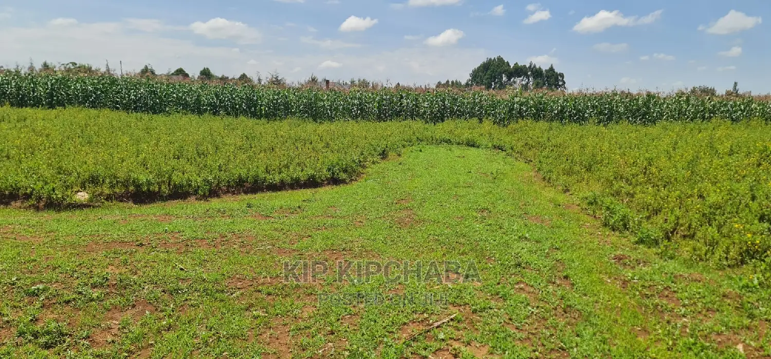Land Plots for Sale in Kiplombe, Close to MTRH Proposal, Eldoret - Limited Availability in Kamukunji