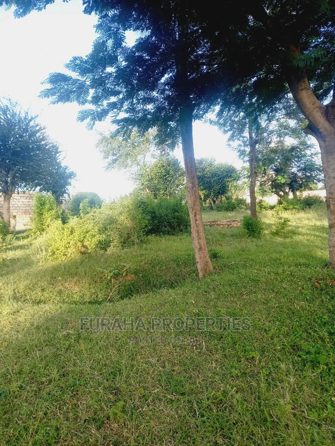 One Eighth Acre Plots in Mtwapa: Invest Today, Secure Your Future in Mtwapa