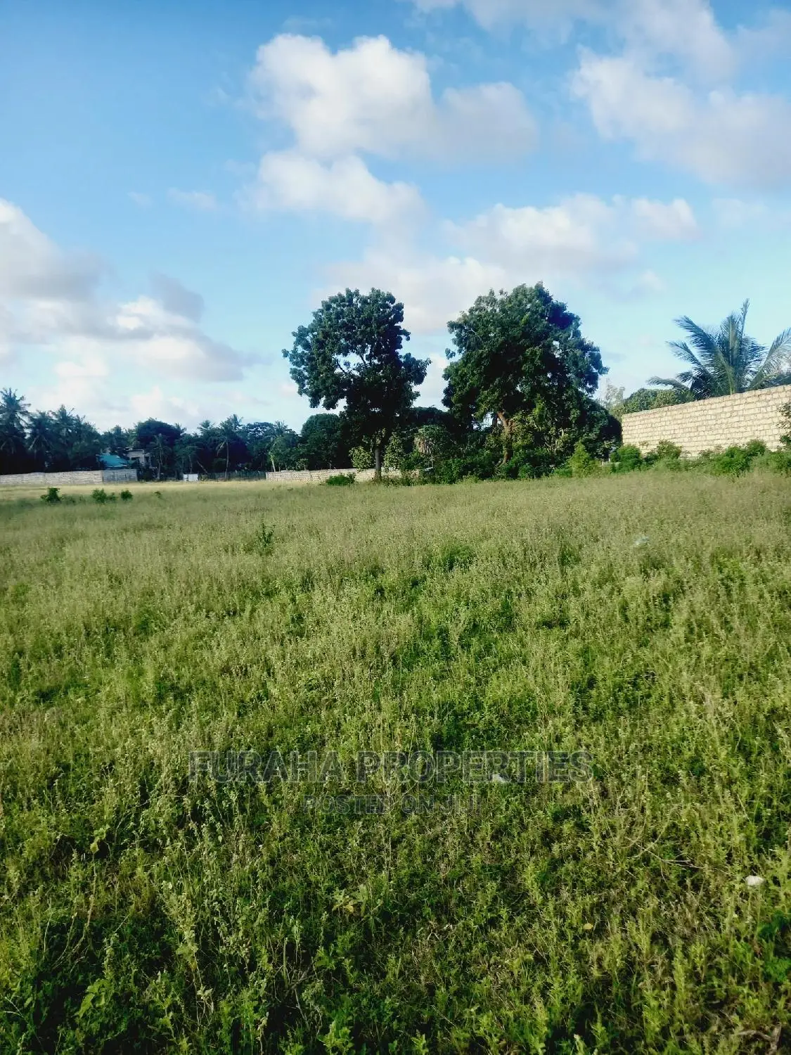 One Eighth Acre Plots in Mtwapa: Invest Today, Secure Your Future in Mtwapa