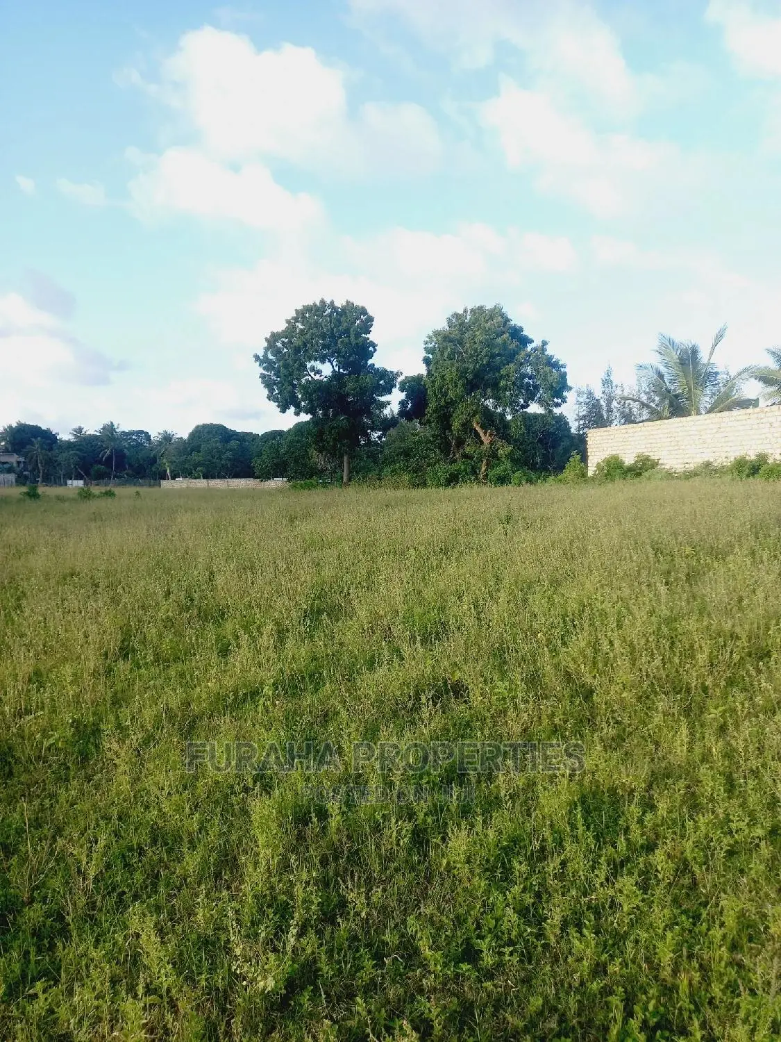 One Eighth Acre Plots in Mtwapa: Invest Today, Secure Your Future in Mtwapa