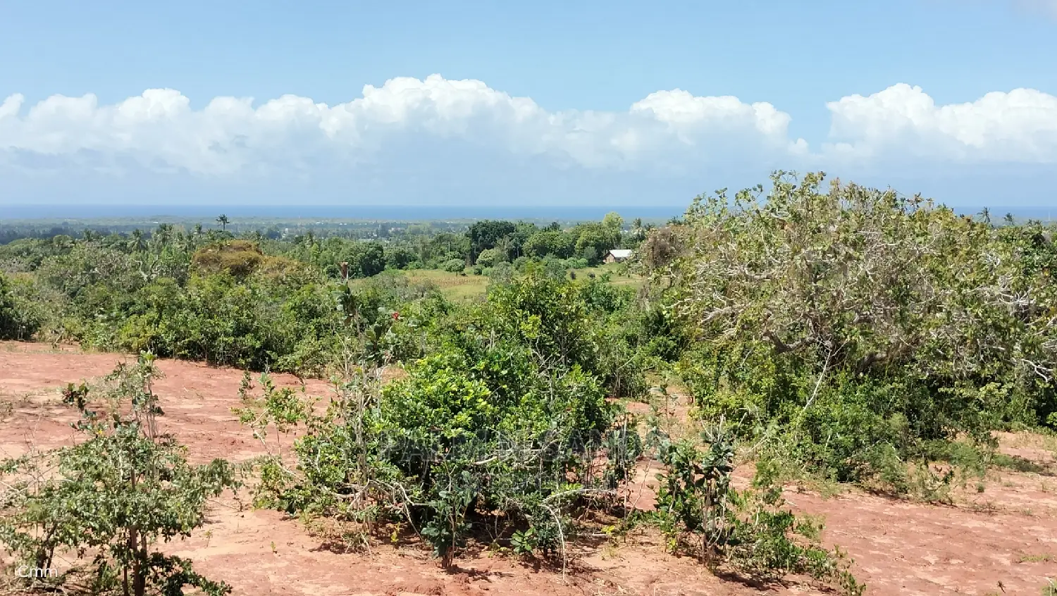 Golini's 5-Acre Ocean View Property Available Now in Tsimba Golini