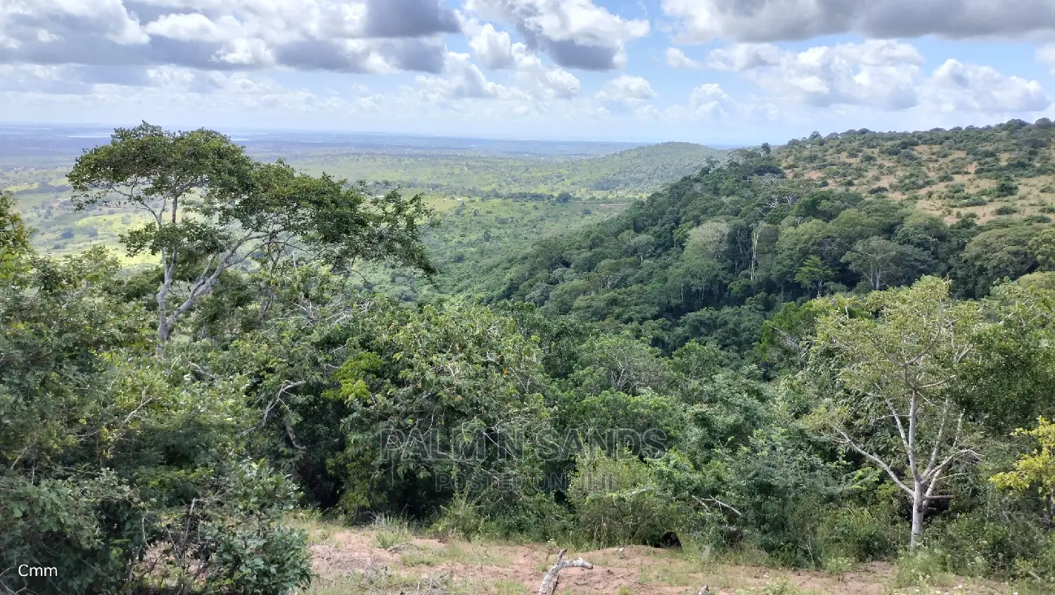 Golini's 5-Acre Ocean View Property Available Now in Tsimba Golini