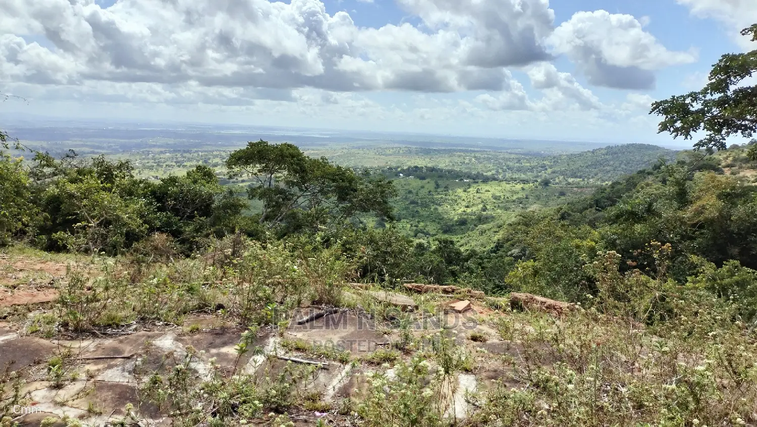 Golini's 5-Acre Ocean View Property Available Now in Tsimba Golini
