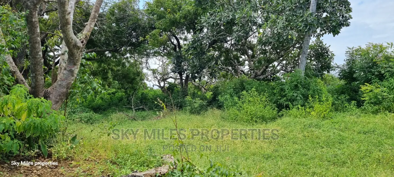 Serena Land - 1-Acre Plot Available for Purchase in Shanzu