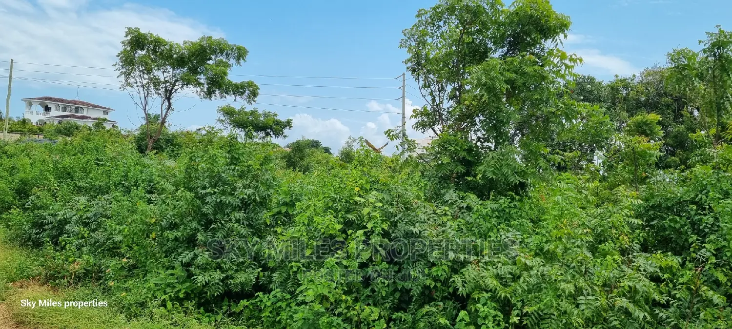 Serena Land - 1-Acre Plot Available for Purchase in Shanzu