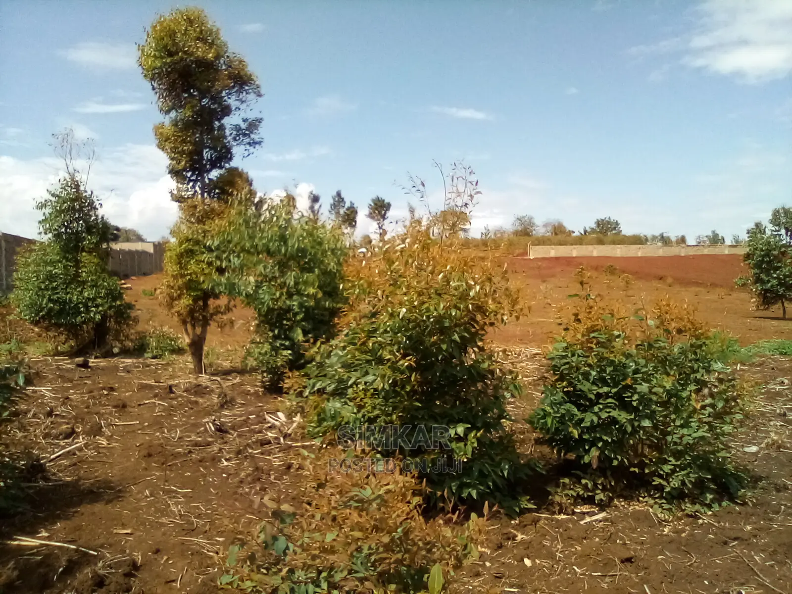 Invest in 2nd Row Land in Ridgeways - Limited Time Lease Offer in Ridgeways