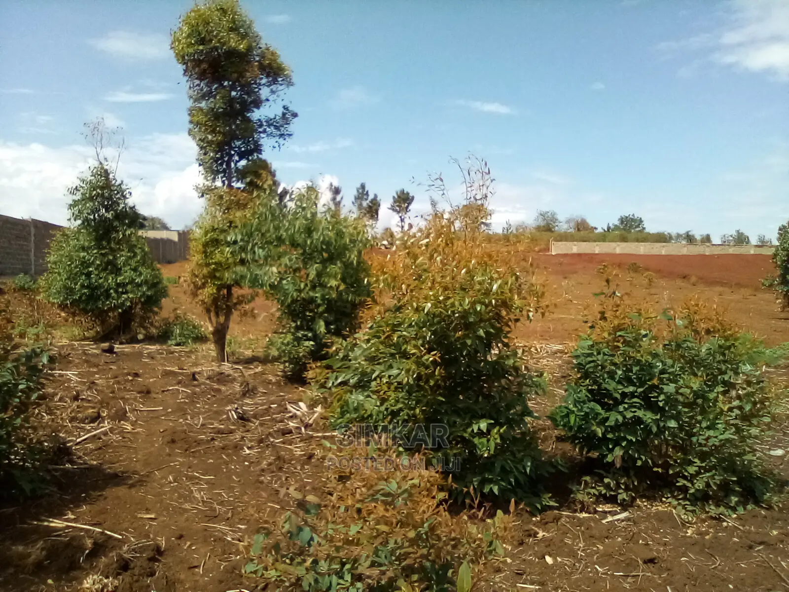 Invest in 2nd Row Land in Ridgeways - Limited Time Lease Offer in Ridgeways