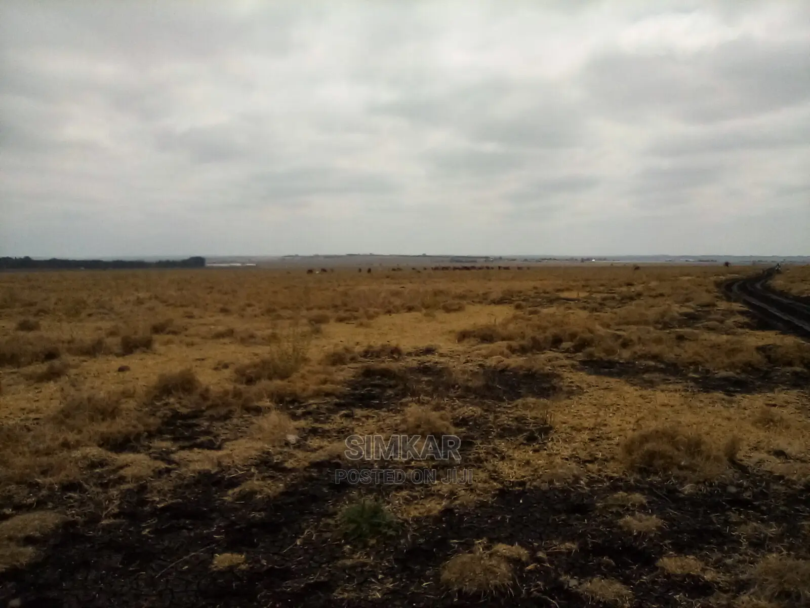 Isinya 192 Acres Land for Sale - Perfect for Your Business Venture in Isinya