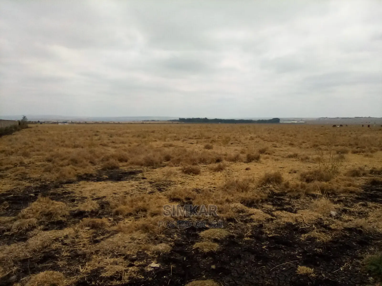 Isinya 192 Acres Land for Sale - Perfect for Your Business Venture in Isinya