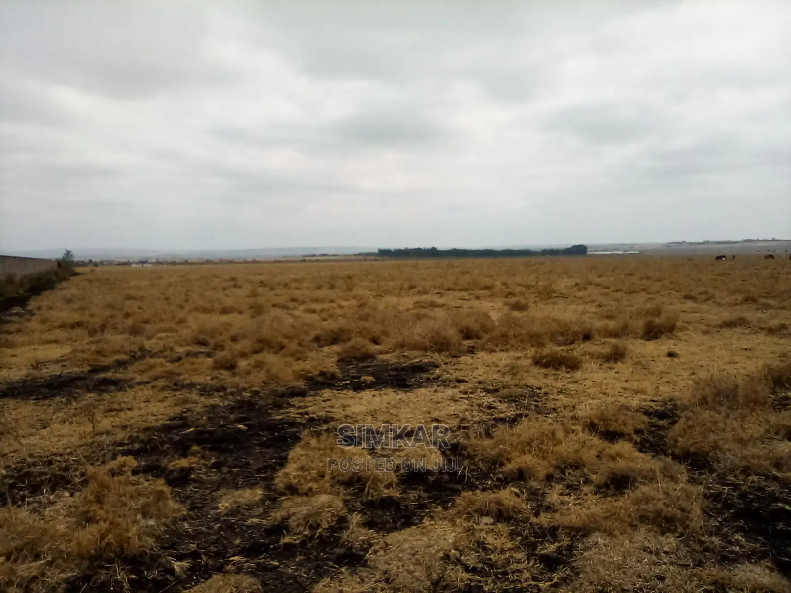 Isinya 192 Acres Land for Sale - Perfect for Your Business Venture in Isinya