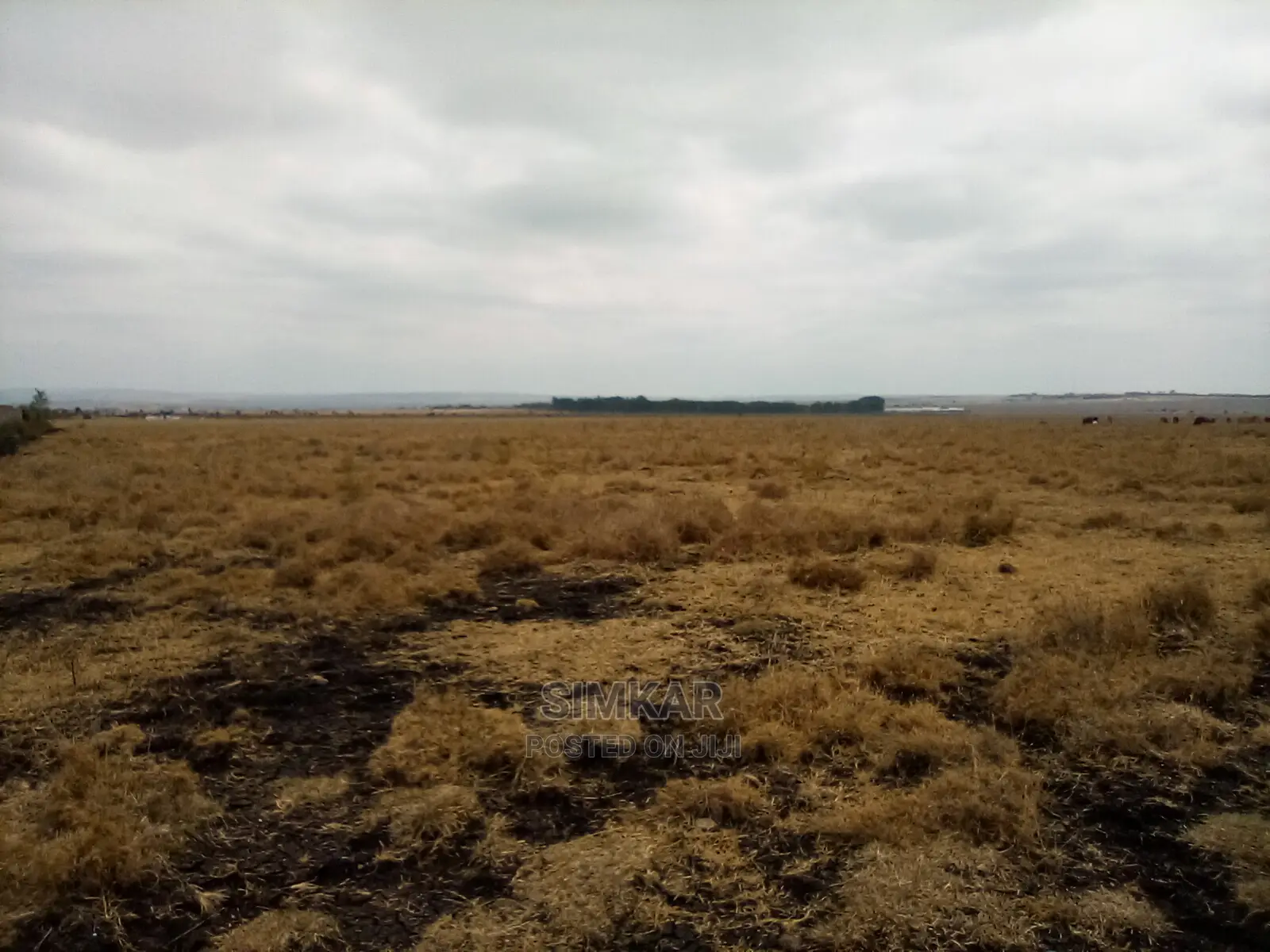 Isinya 192 Acres Land for Sale - Perfect for Your Business Venture in Isinya