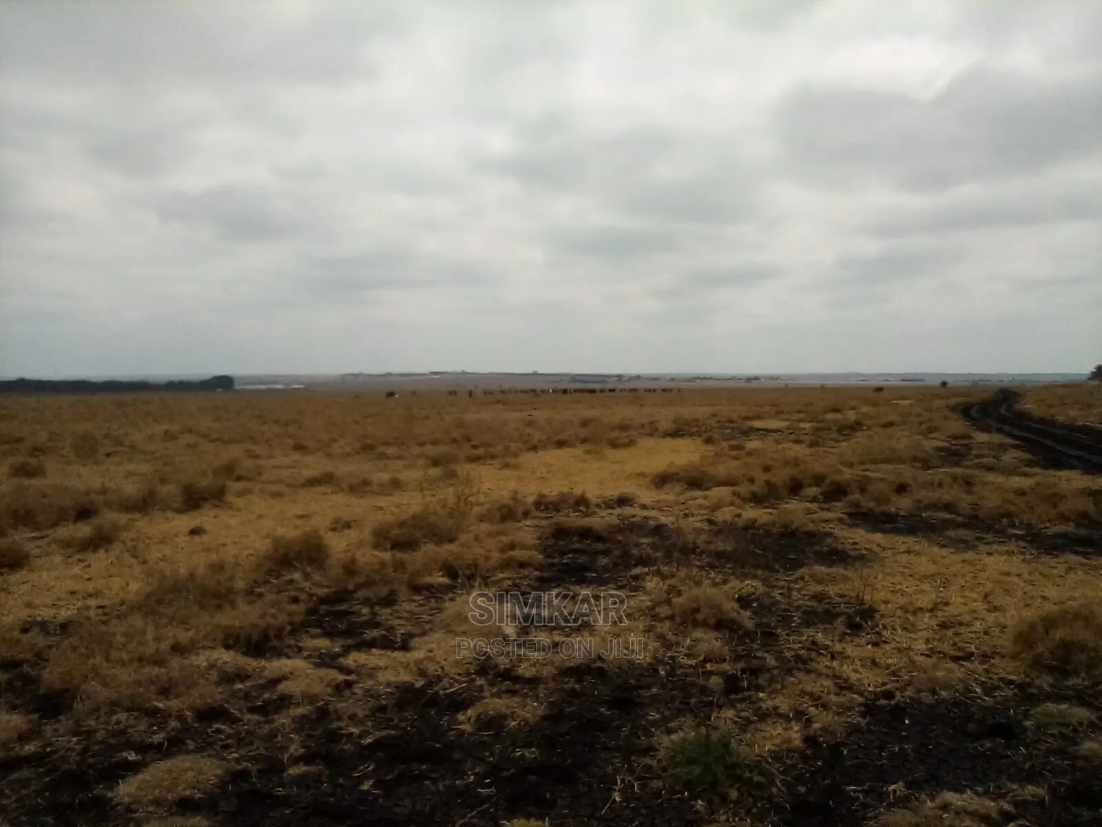 Isinya 192 Acres Land for Sale - Perfect for Your Business Venture in Isinya