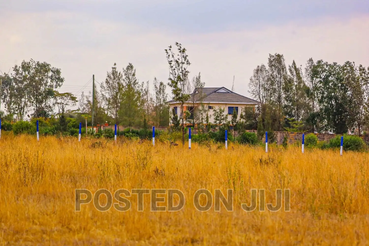 Kamulu Plots Ready to Settle 1.3M.Mw^ in Kamulu