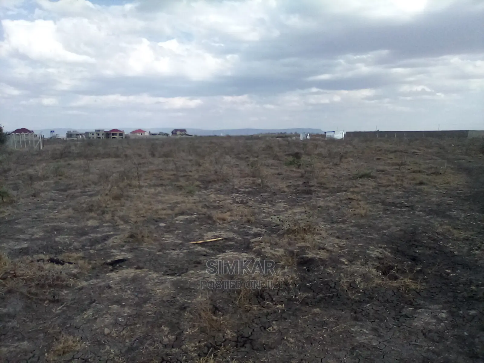 Find Your Dream 1/4-Acre Plot in Katani - Your Real Estate Journey Starts Here! in Katani