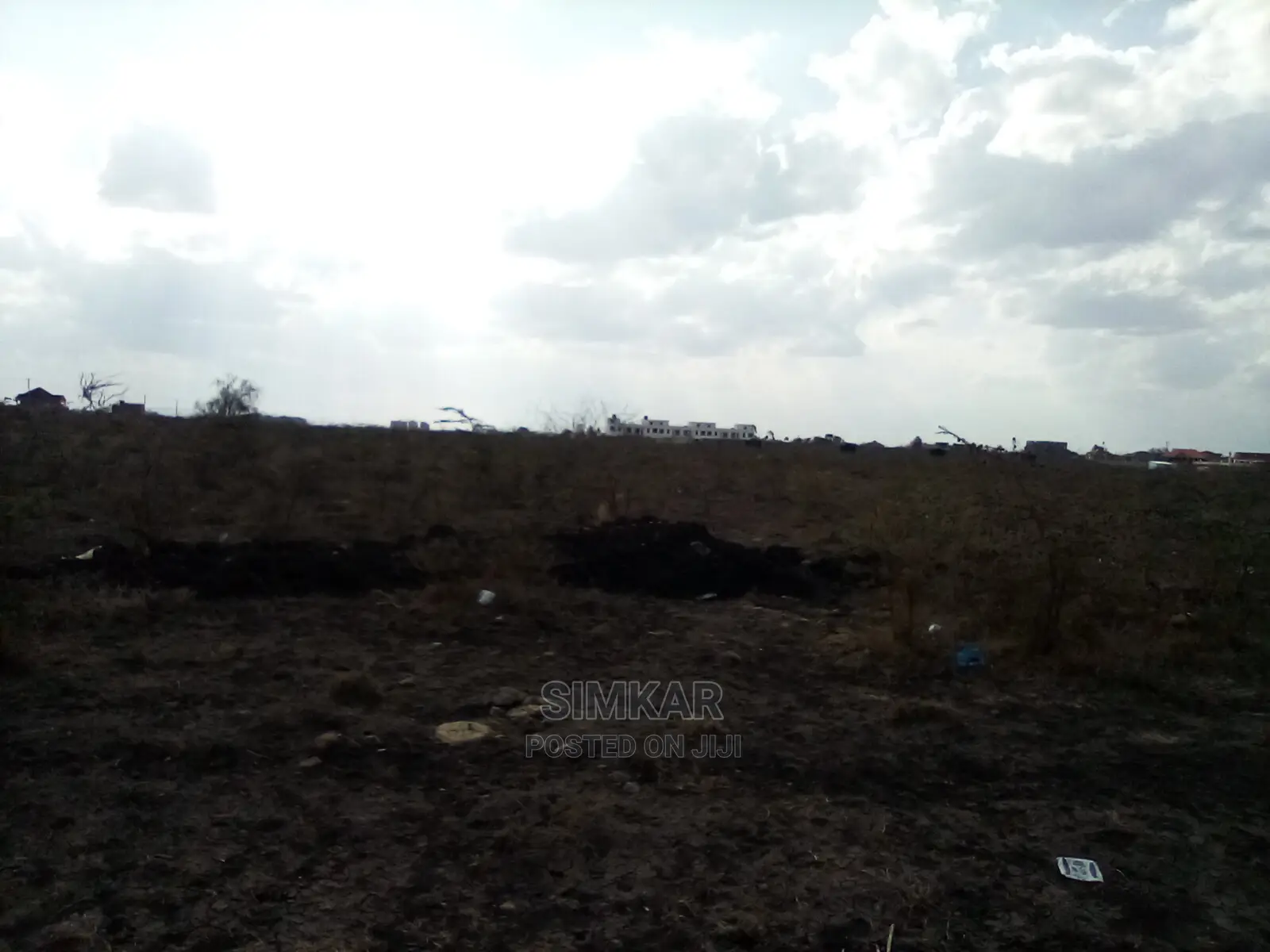 Find Your Dream 1/4-Acre Plot in Katani - Your Real Estate Journey Starts Here! in Katani