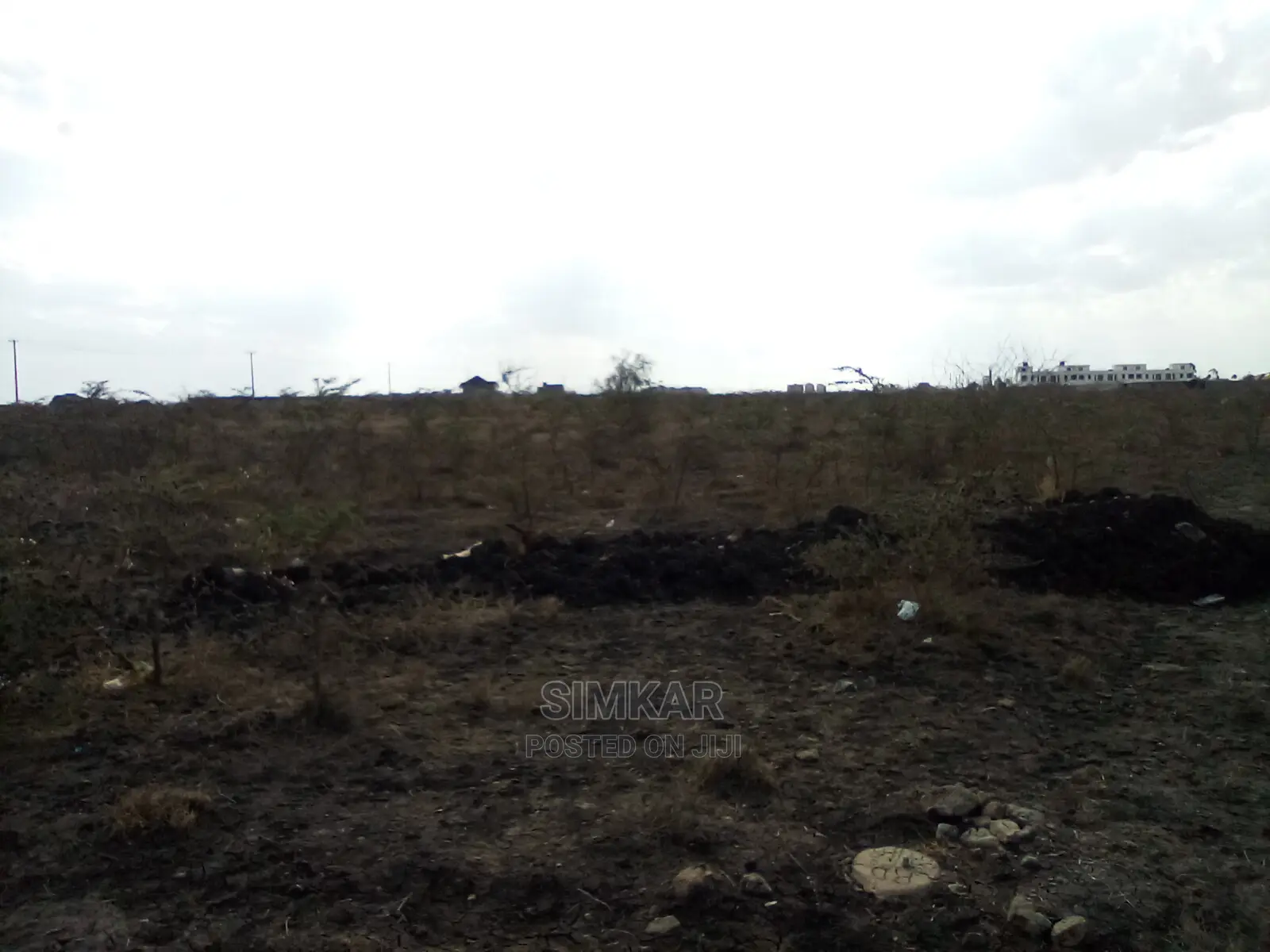 Find Your Dream 1/4-Acre Plot in Katani - Your Real Estate Journey Starts Here! in Katani