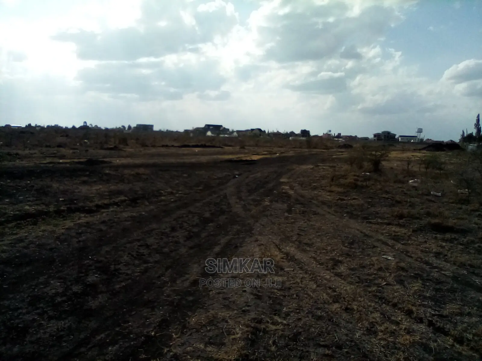 Find Your Dream 1/4-Acre Plot in Katani - Your Real Estate Journey Starts Here! in Katani