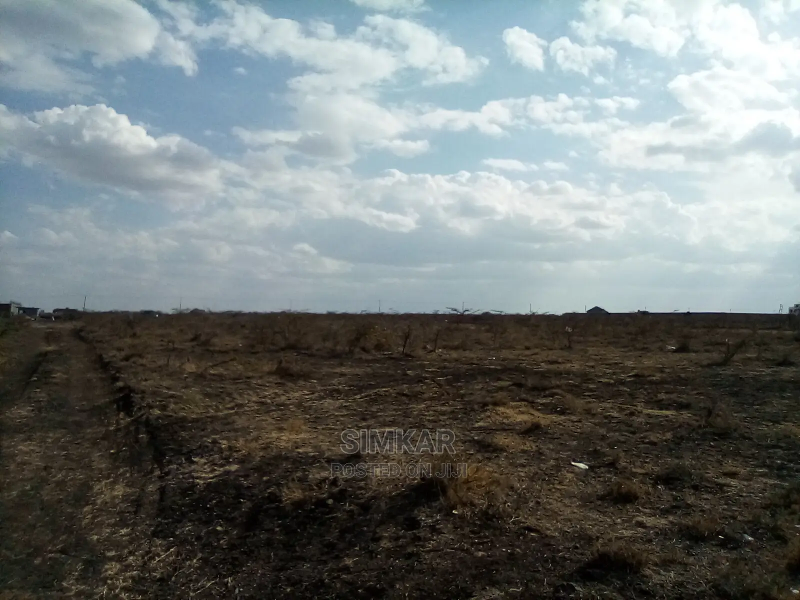 Find Your Dream 1/4-Acre Plot in Katani - Your Real Estate Journey Starts Here! in Katani