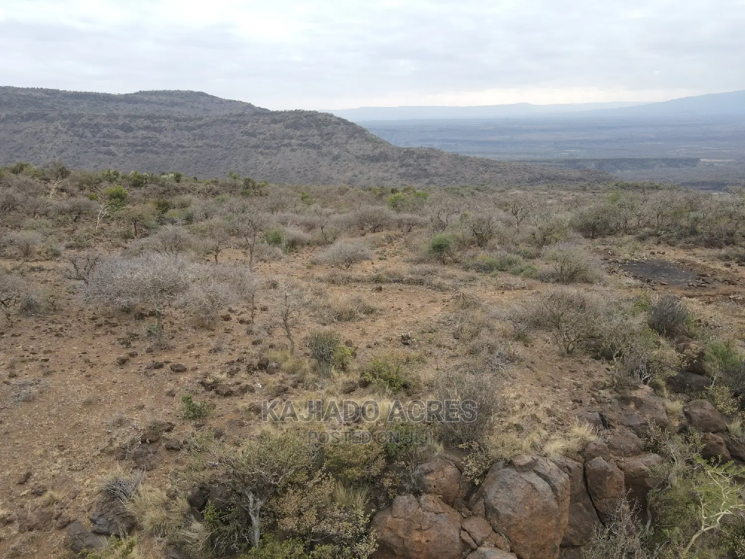 45-Acre Cliff Property in Ilkilorit - Buy Per Acre for an Excellent Deal in Ewaso Kendong